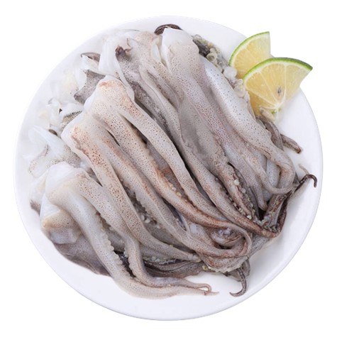 Illex squid tentacled 90-120g IQF 25%