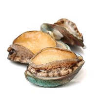 智利红鲍鱼 Sashimi 半壳 9头 / Red Abalone