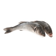 海鲈鱼 400/600(价格：kg）
