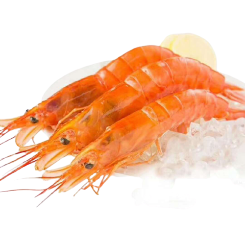 阿根廷虾 / Krewetka Argentyńska L1 IQF 0% / Argentinian Shrimps L1 IQF 0%