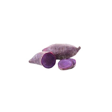 Lila Süßkartoffel  紫薯