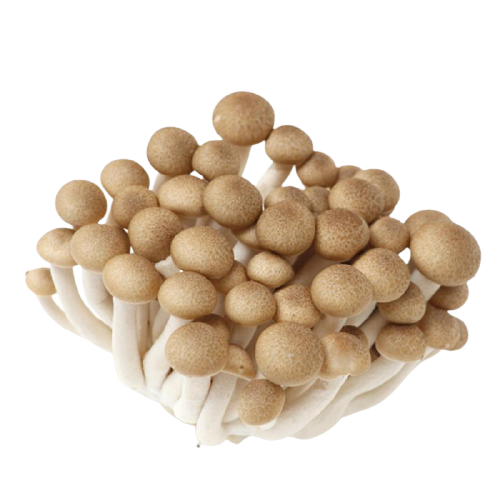 蟹味菇 （150g/盒*20盒） (价格：kg)