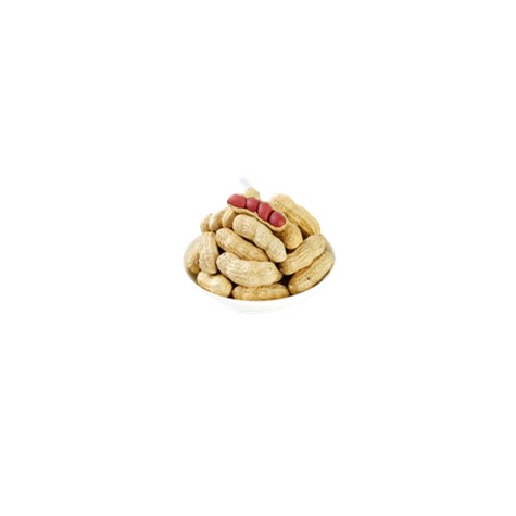 四粒红花生（生） (价格：kg）Peanut/Erdnuss/