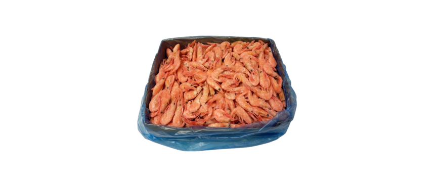 北极甜虾（熟） （价格：kg）1kg / Pandallus 90/120 1kg