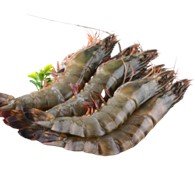 带头黑虎虾 16-20， 含冰 30%（价格：kg）