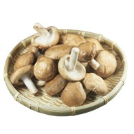 mushroom 1.5KG/box /香菇 1.5KG/箱