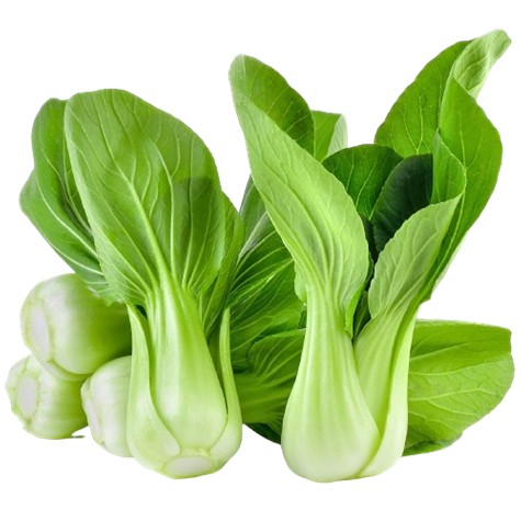 小白菜 500gr /(Milk Choi) Pakchoi Mini 500gr