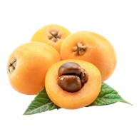 枇杷 2公斤/箱 / Loquat 2kg/box