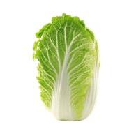 大白菜 700+克/个 / China Kool 700g+/piece